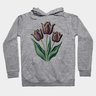 Cafe Noir Tulip, Vintage Botanical Hoodie